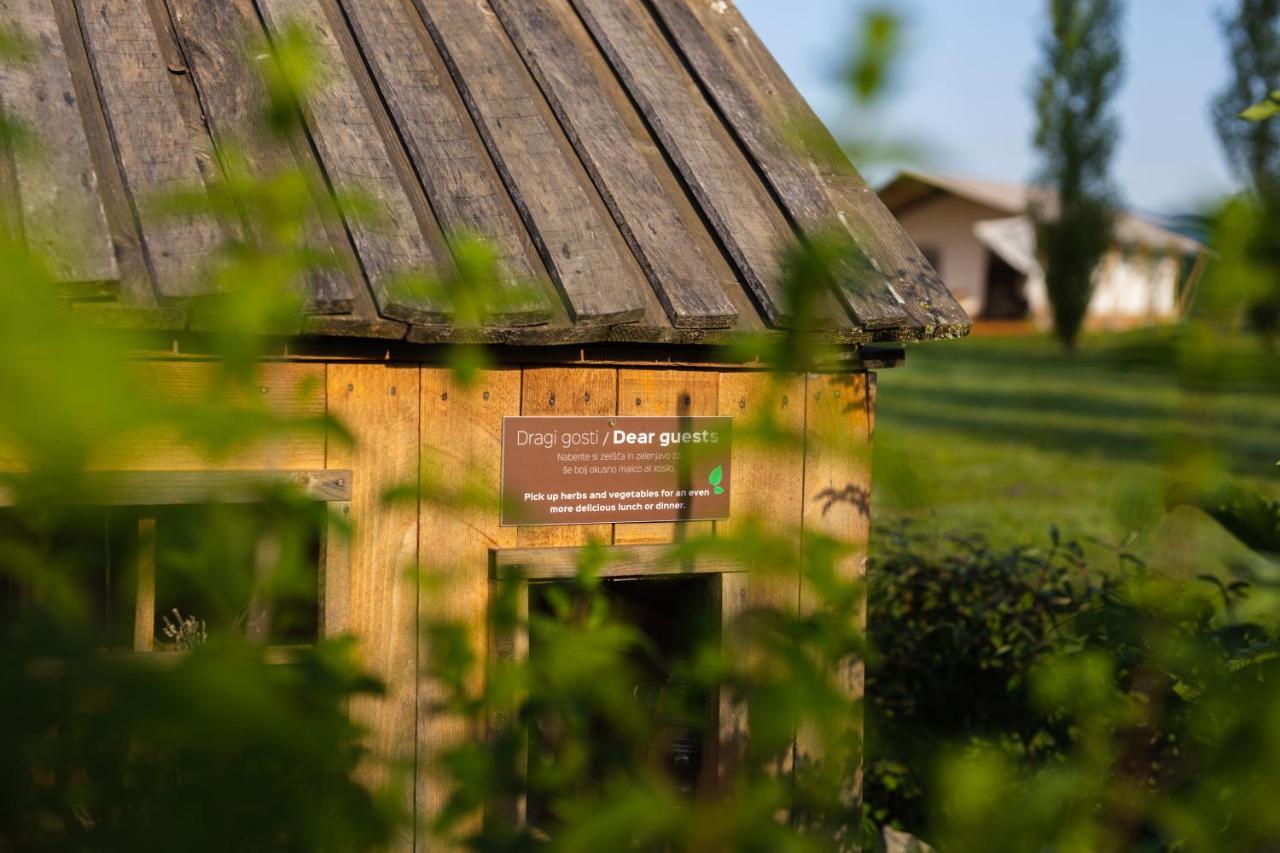 Glamping Kolpa Resort Gradac Esterno foto